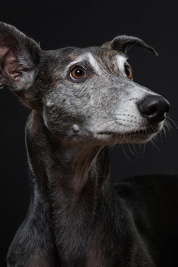 如果领导交给你一项任务，但你可能完不成，该怎么办呢？