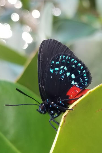 学数学就是靠刷题吗？