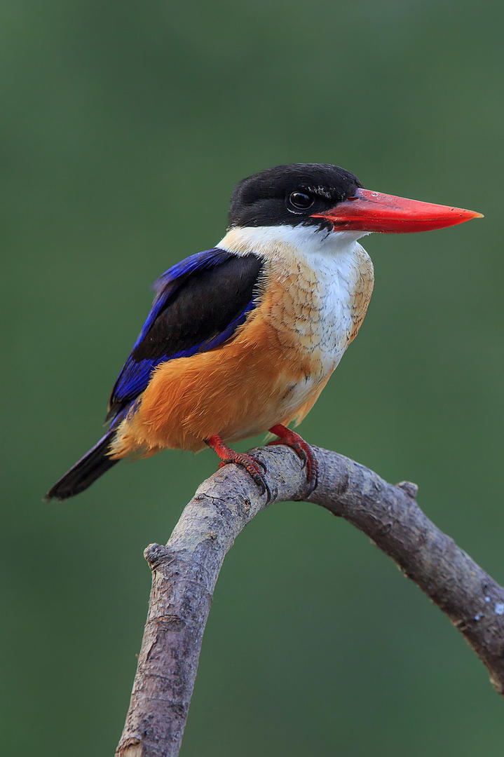 亿万富翁“换血哥”拿儿子做“血童”后，又盯上他的丁丁？比赛支棱状态：我只短他2分钟！