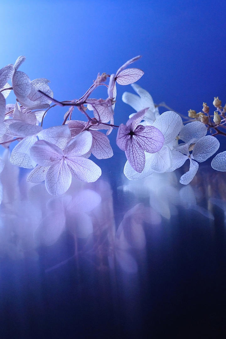 《凡人修仙传》里，梅凝为什么不跟着韩立，而是选择要丹药？